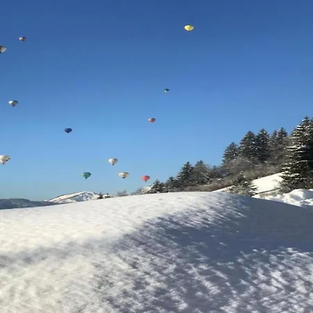 Stylish In Megeve * 프라즈쉬아를리