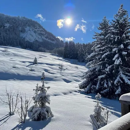 Stylish In Megeve 프라즈쉬아를리