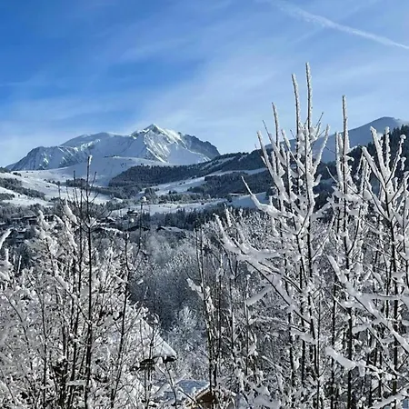 Stylish In Megeve 프라즈쉬아를리
